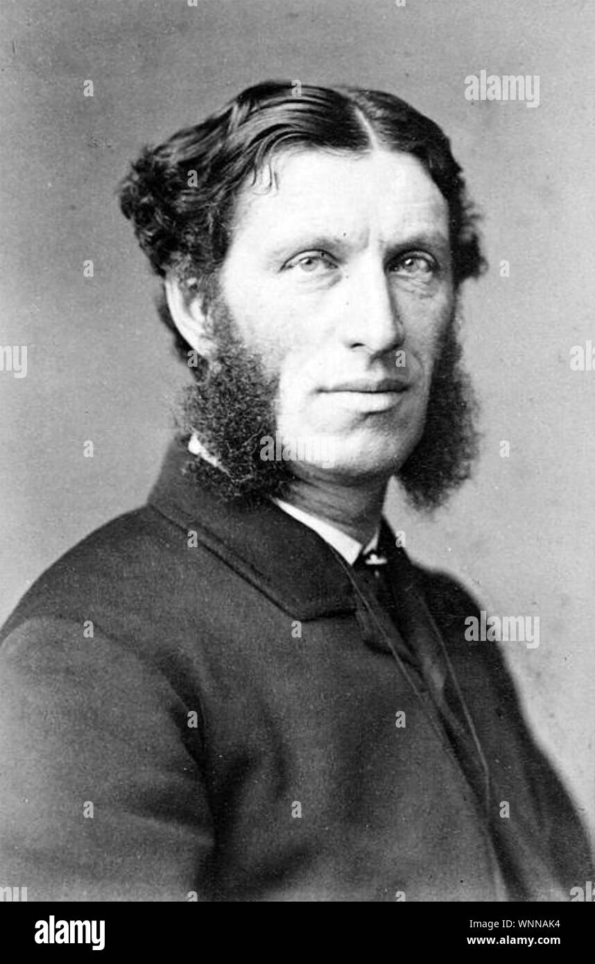 MATTHEW ARNOLD (1822-1888) English poet and school inspector Stock Photo