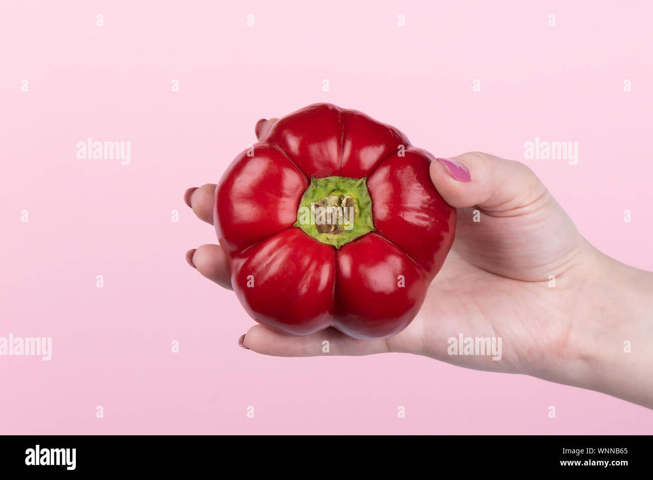Red sweet bell peppers in hand over a pink background. Red bell peppers