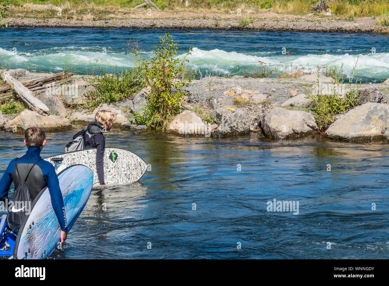 Two teenage river surfers carry their surf boards and cross part of the Deschutes River to get to the surfing spot in the river. Stock Photo