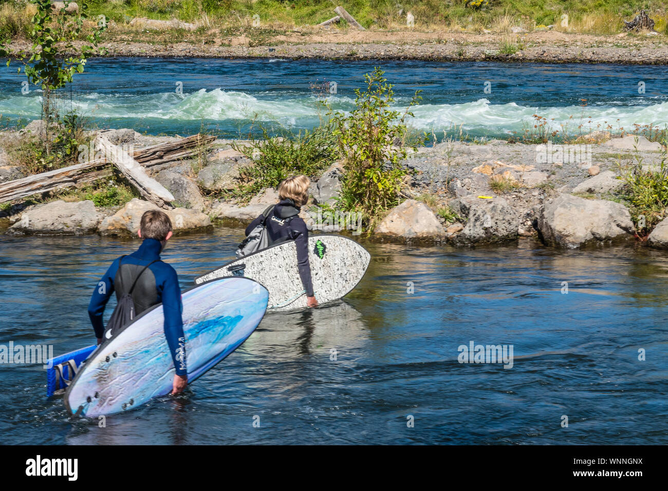 Two teenage river surfers carry their surf boards and cross part of the Deschutes River to get to the surfing spot in the river. Stock Photo