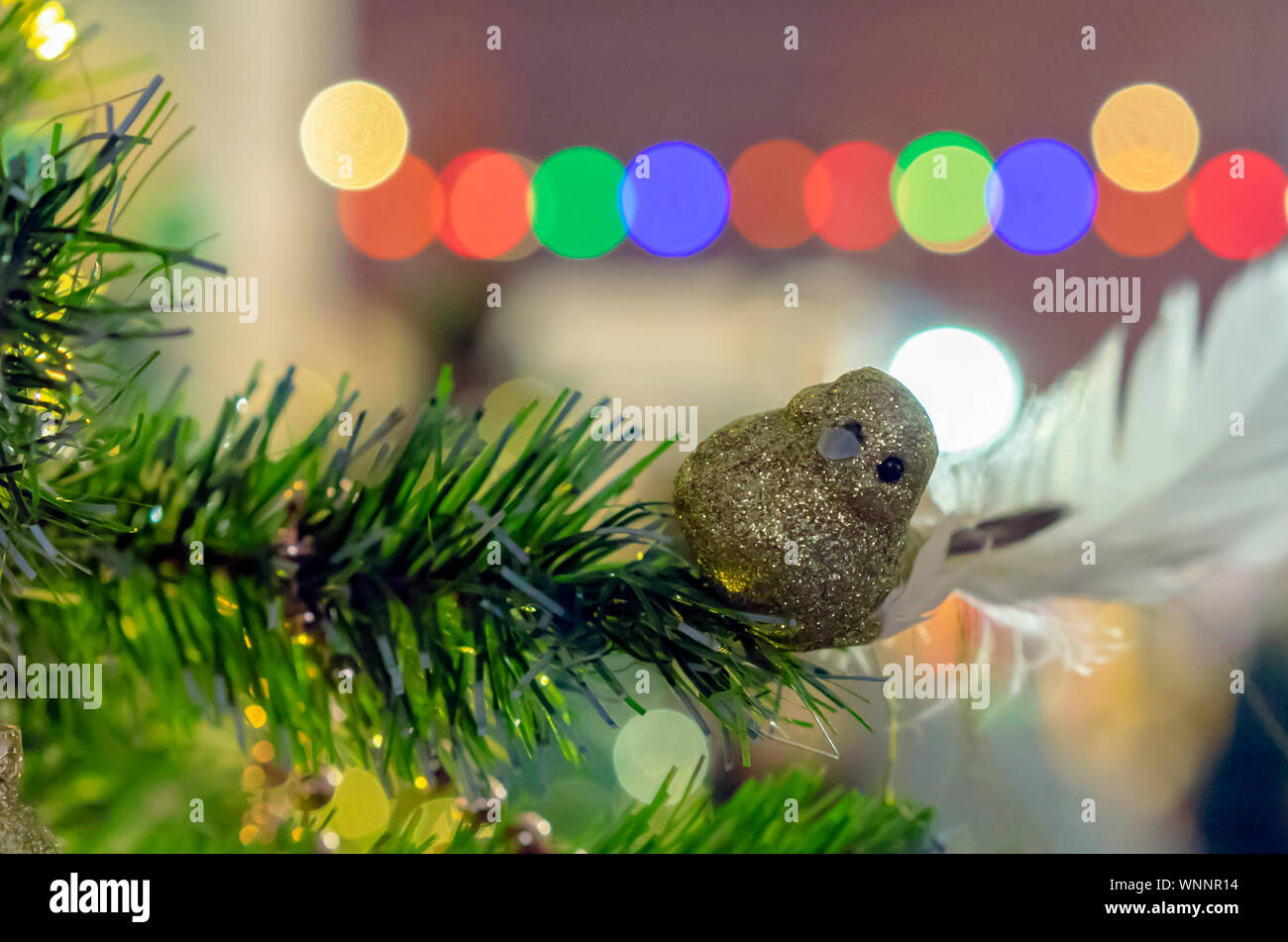 Christmas decorations. A shiny golden bird on a branch of a Christmas ...