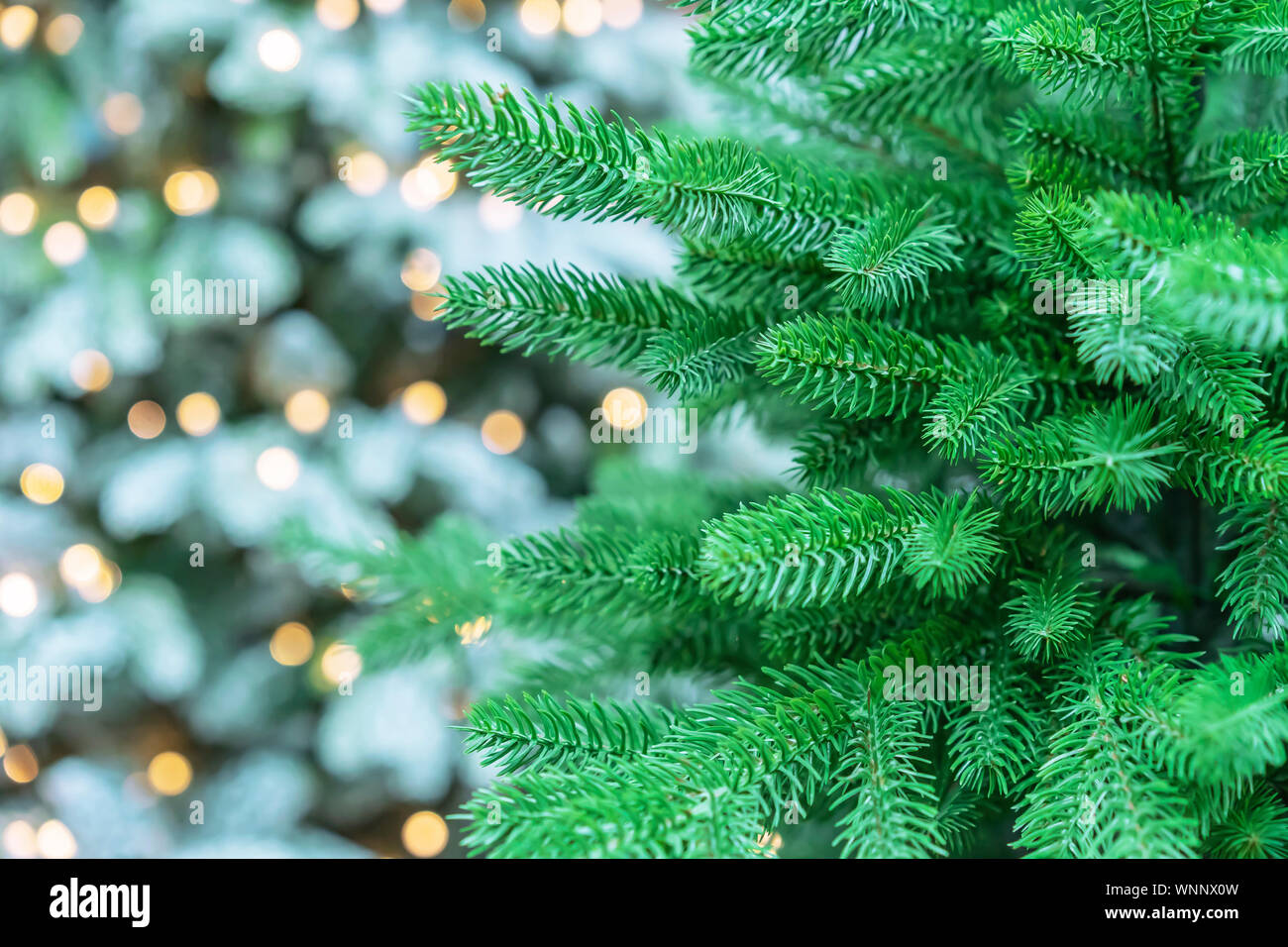 Green Christmas tree on a white background with bokeh Stock Photo - Alamy