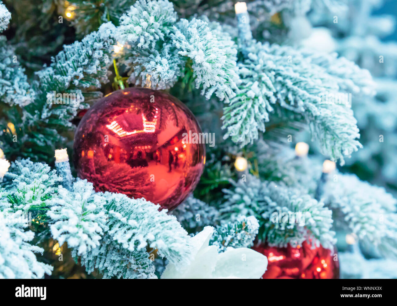 Snow-covered Christmas tree decorated with red balls and a garland ...