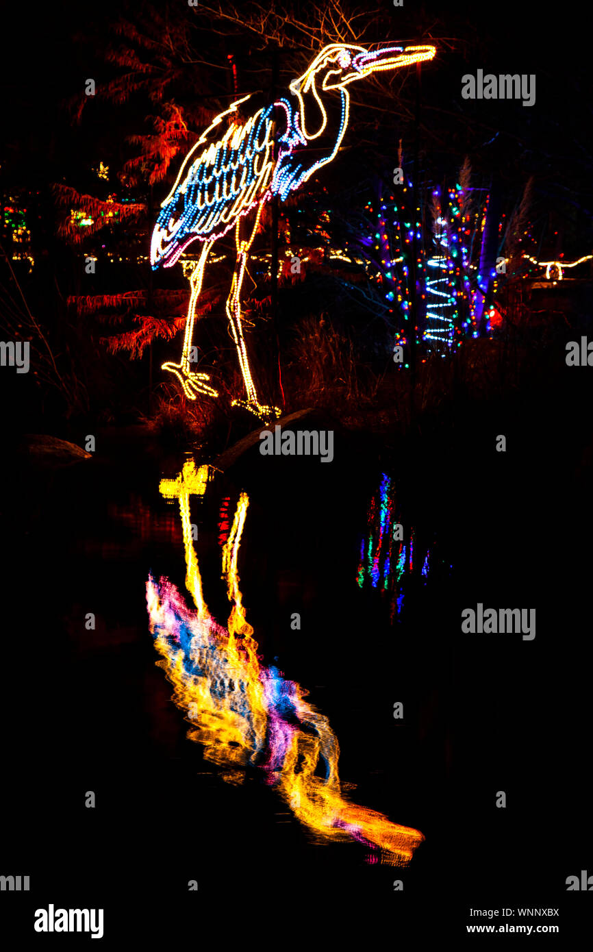 'Bird' Christmas lights, River of Lights, Rio Grande Botanic Garden, Albuquerque, New Mexico USA Stock Photo