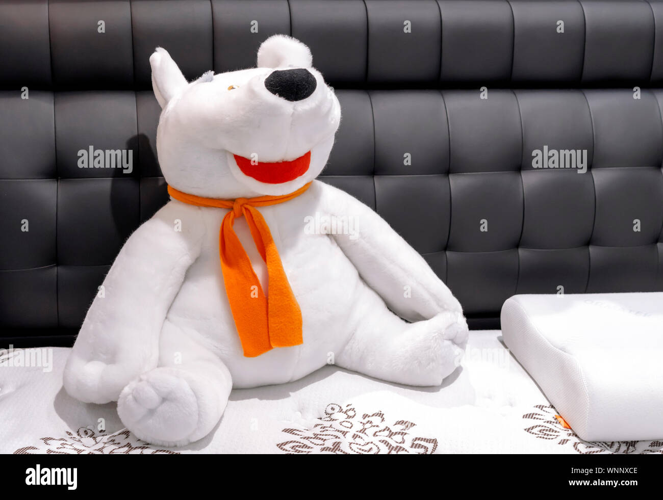 Toy polar bear hi-res stock photography and images - Alamy