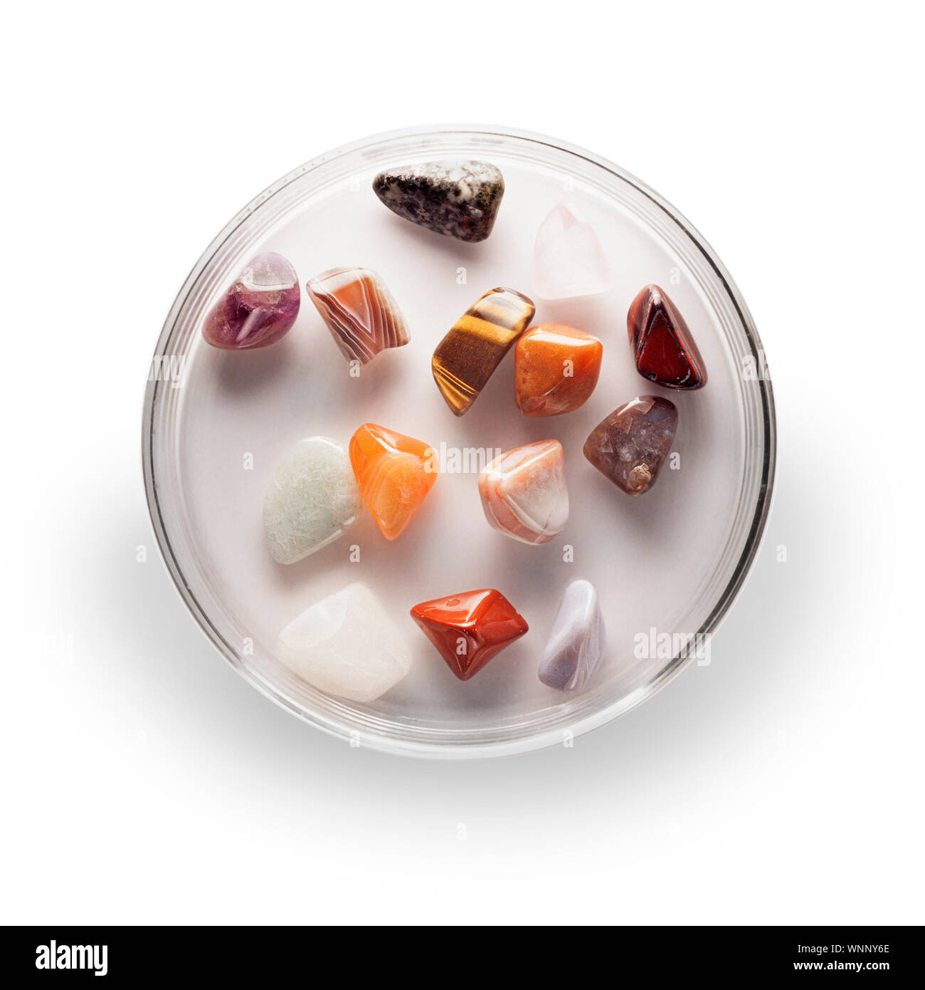Semi precious gemstones in a petri dish, white background Stock Photo