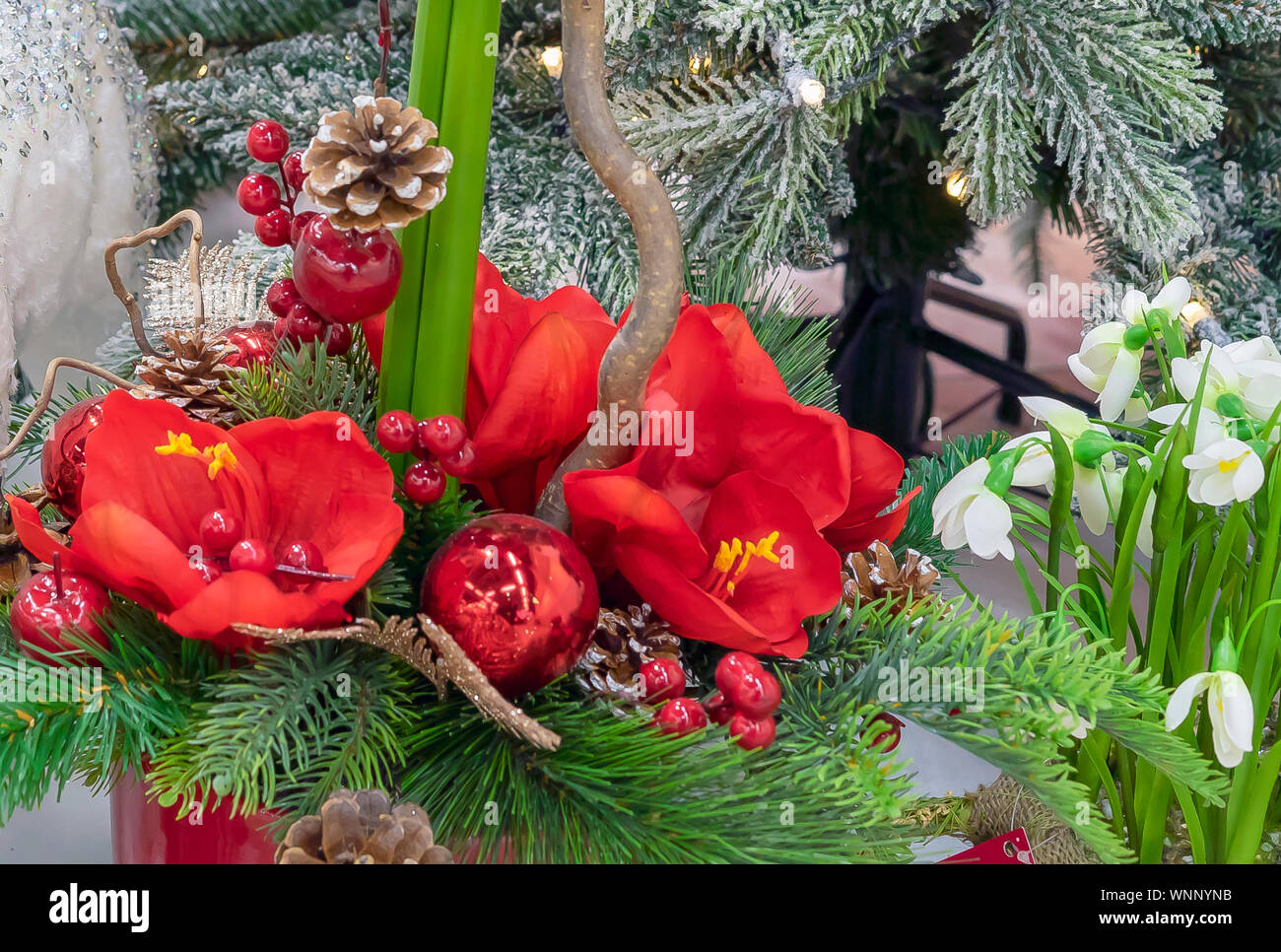 Christmas composition with flowers, berries and decorations. Stock Photo