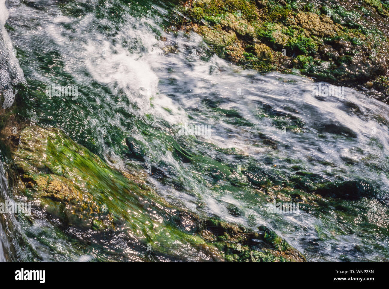 Waterfall stream with algae, rushing water Stock Photo