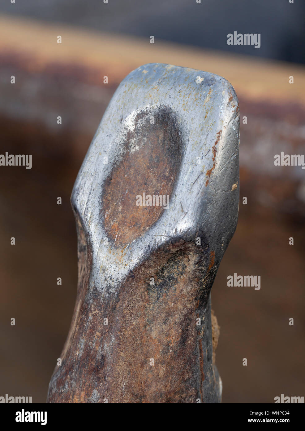 The flat end of a metal hammer Stock Photo Alamy