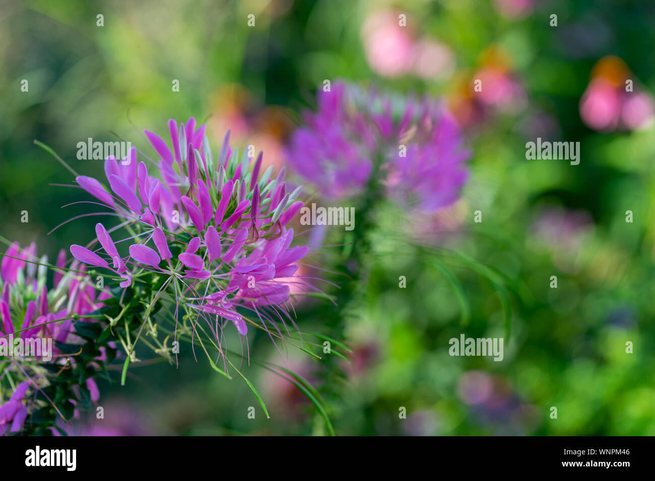 I Can Never Get Tired Of Taking Pictures Of The Beauty Of Nature Stock Photo Alamy