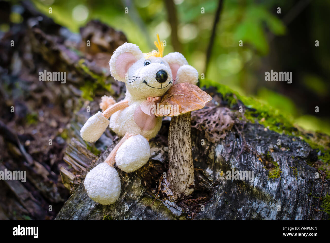 A beautiful picture with a birch mushroom in the forest, with a toy white cute mouse-the symbol of 2020 Stock Photo
