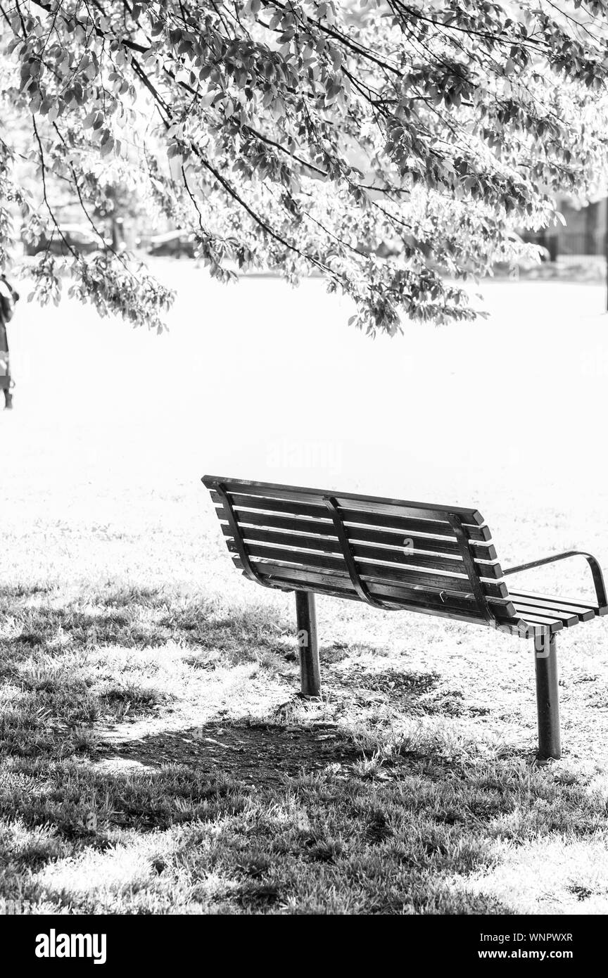 Black and white image overexposed by the sun of a sunlit park bench in the sunlight with a tree and leaves Stock Photo
