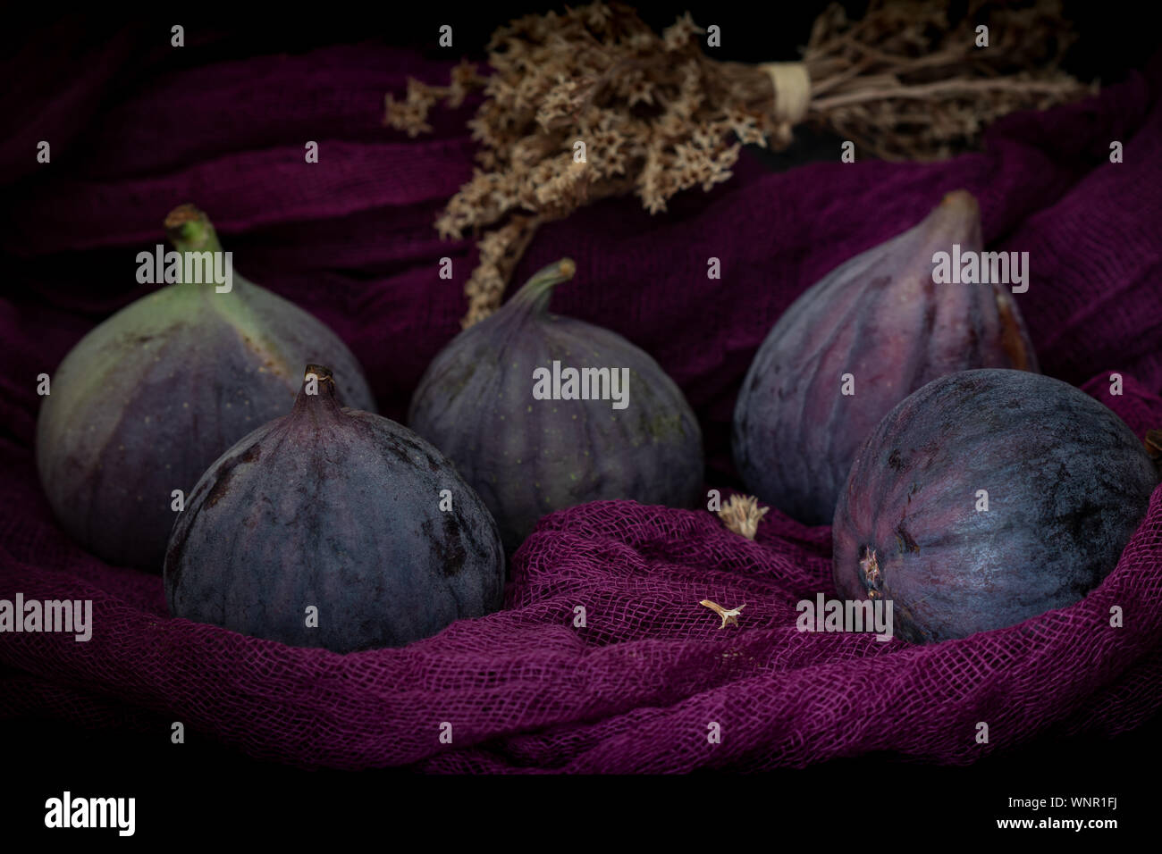 Fresh figs on the violet background Stock Photo
