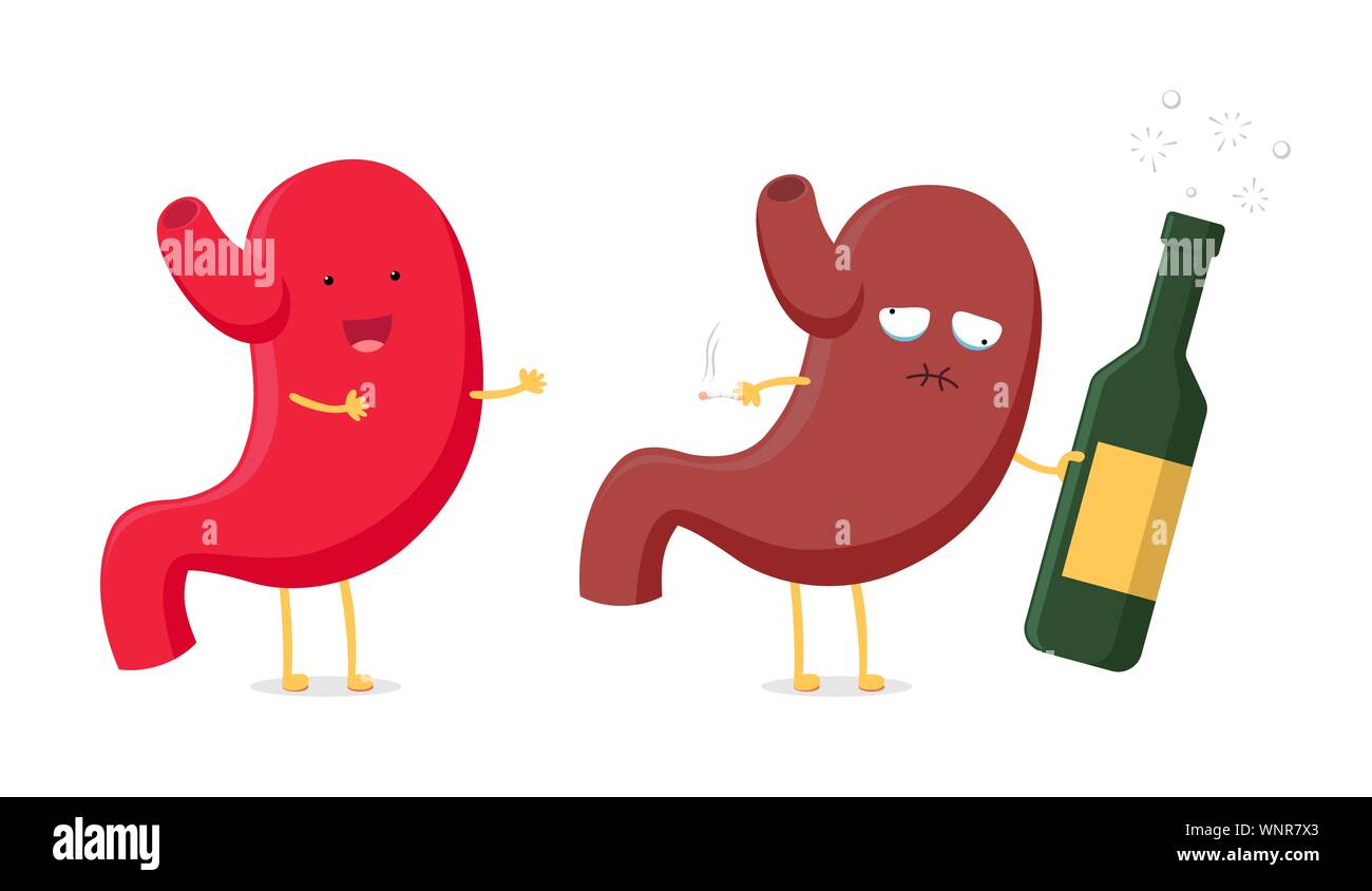Healthy fun and sick unhealthy ill drunk stomach character hold in hand alcohol bottle and cigarette. Human digestive system cartoon organ indigestion concept. Vector anatomy illustration Stock Vector