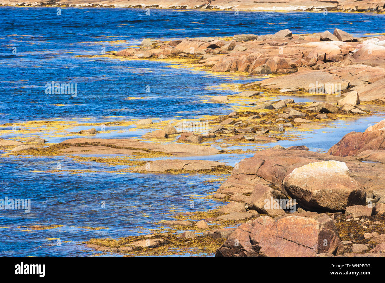 The fishing village of Joe Batt's Arm, Fogo Island, Newfoundland and Labrador, Canada Stock
