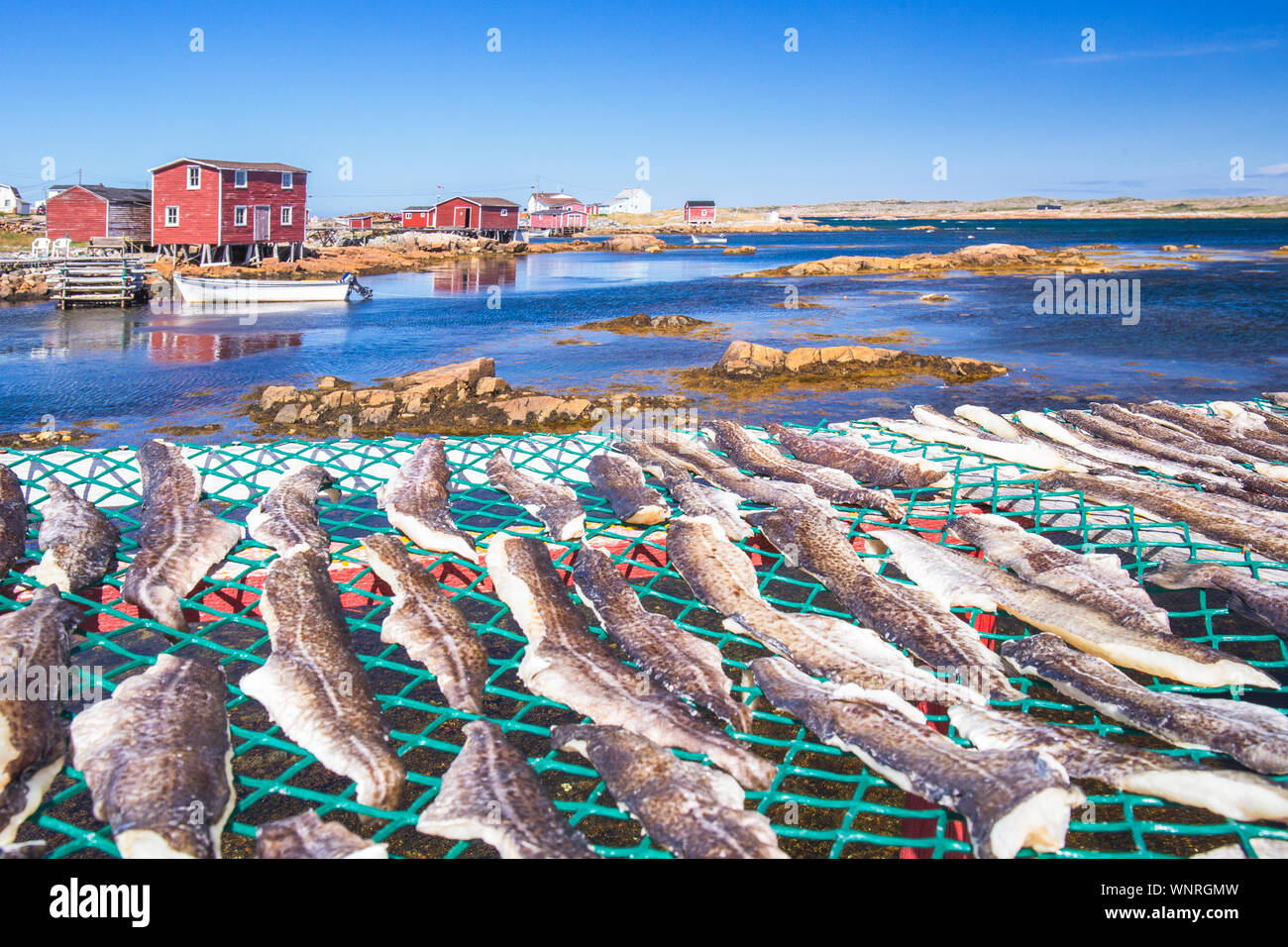 Joe batts arm hires stock photography and images Alamy