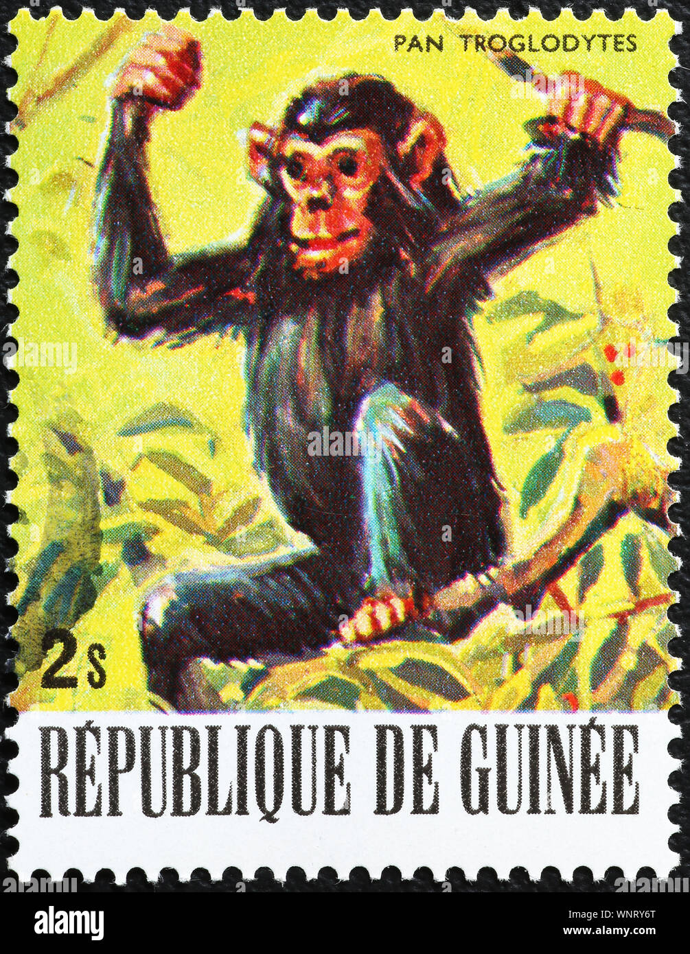Small chimp on postage stamp of Guinea Stock Photo