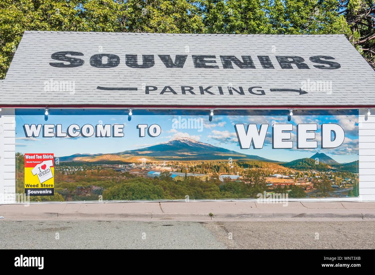 A large building in Weed California with a painted mural of the local