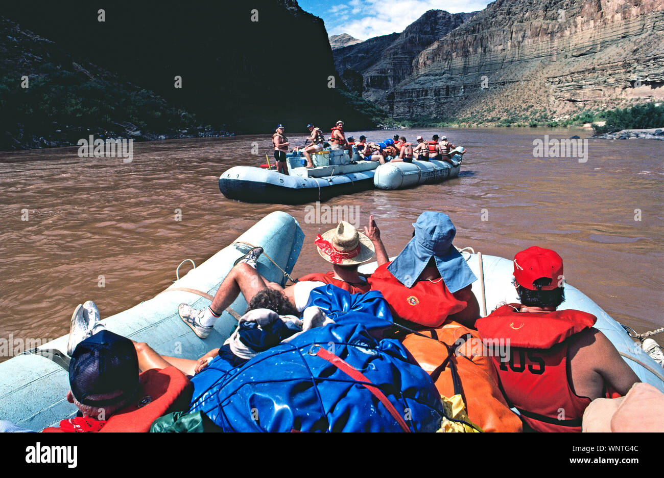 Two large neoprene rafts float down the muddy Colorado River on adventure trip that runs through Grand Canyon National Park in Arizona, USA. Each of the outboard motor-powered boats carries up to 14 passengers and two crew members plus food and camping supplies for 3-1/2 to 8-day outings that wind from 88 to 188 miles (142 to 303 kilometers) through the famous river canyon. The longer the trip, the more thrills through water-splashing rapids along the way; life jackets are provided. An option are oar-powered rafting trips that take 5-1/2 to 14 days to cover the same motor-powered distances. Stock Photo