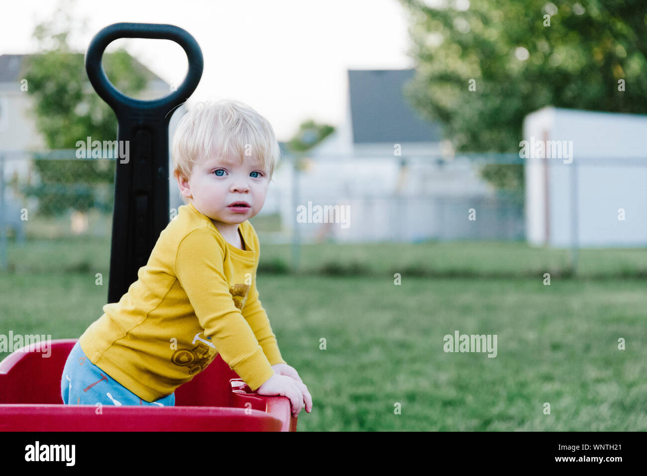 Toddler boy standing in a red wagon wearing a yellow shirt. Stock Photo