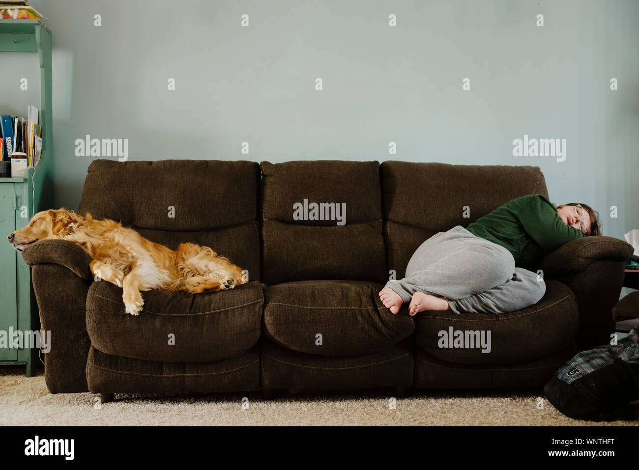 Golden Retriever and teen girl laying down on the couch indoors. Stock Photo