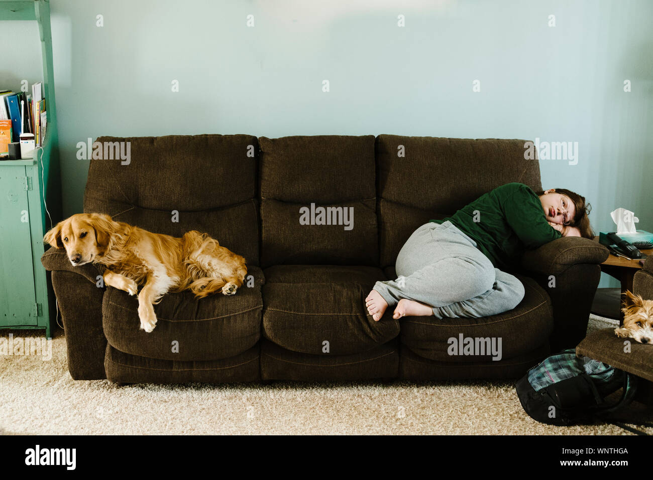 Girl and her pets laying in the furniture in the living room. Stock Photo