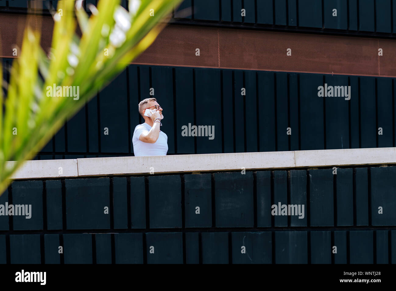 Mature bearded man using a mobile phone while walking on a sunny day Stock Photo
