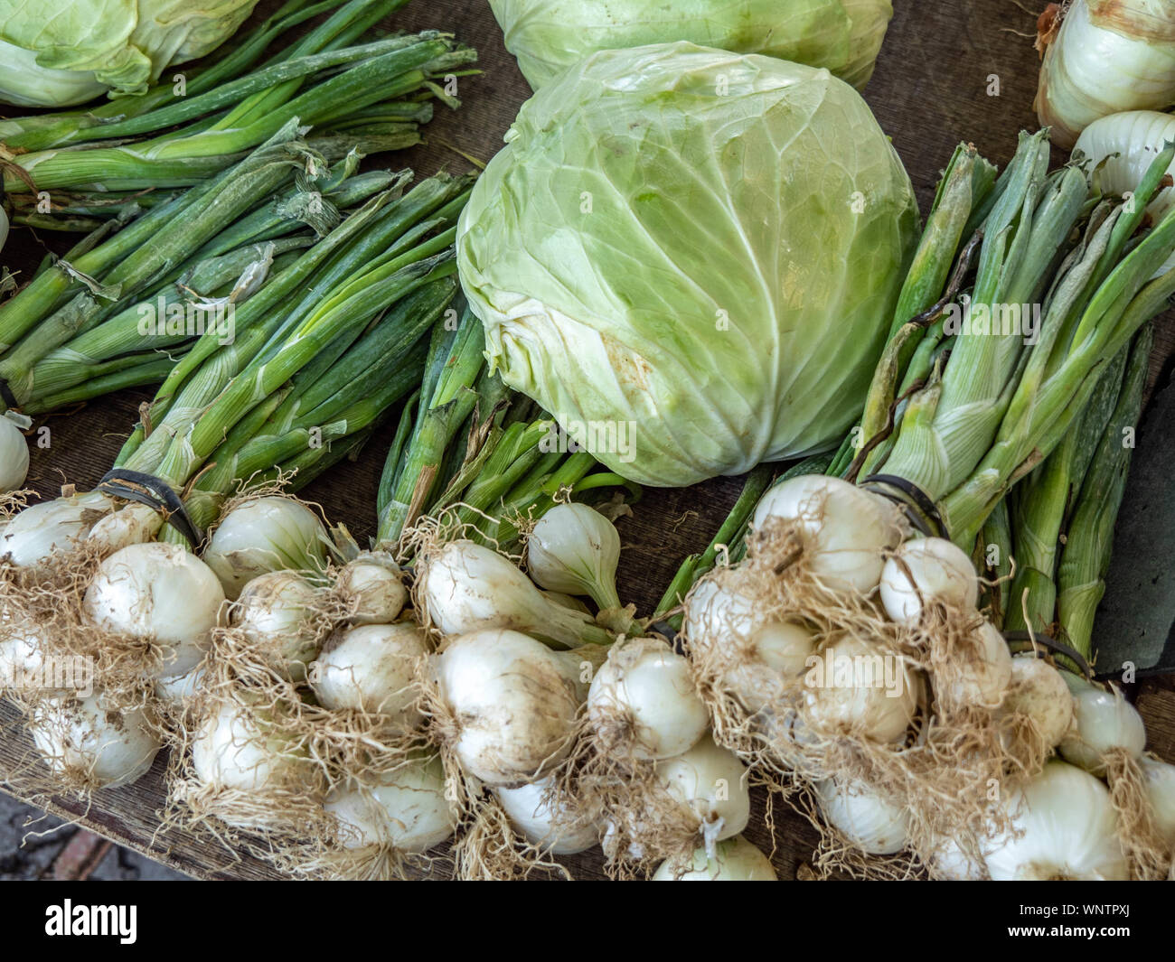 Onion stalk pile hi-res stock photography and images - Alamy