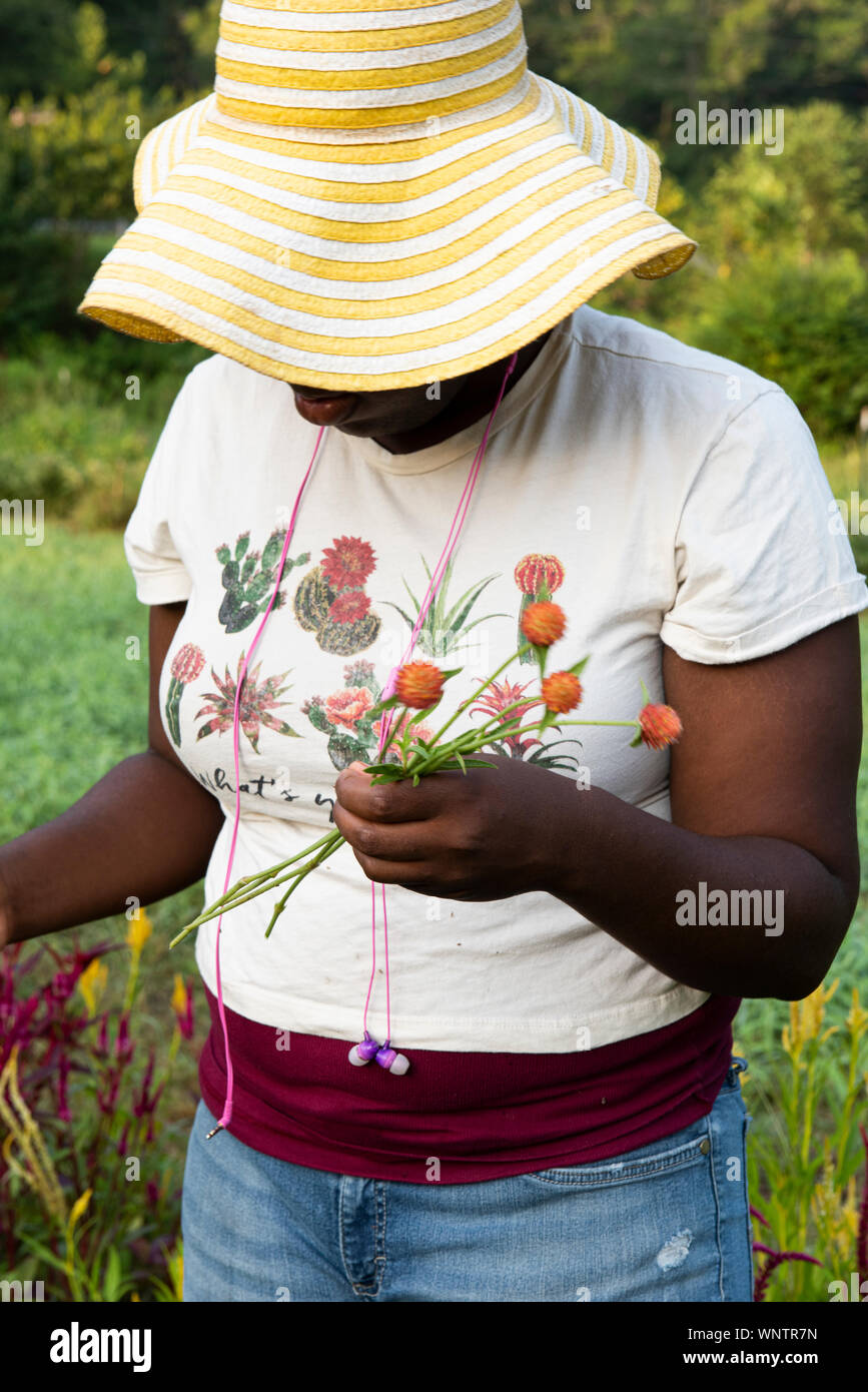 Black woman with yellow sunhat and earbuds cuts flowers in the field Stock Photo