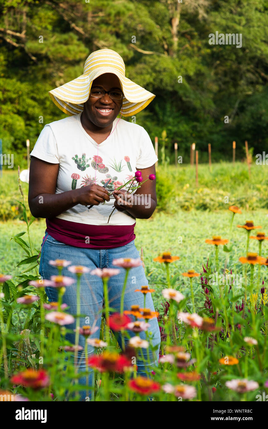 Young smiling woman cuts flowers in a flower field Stock Photo