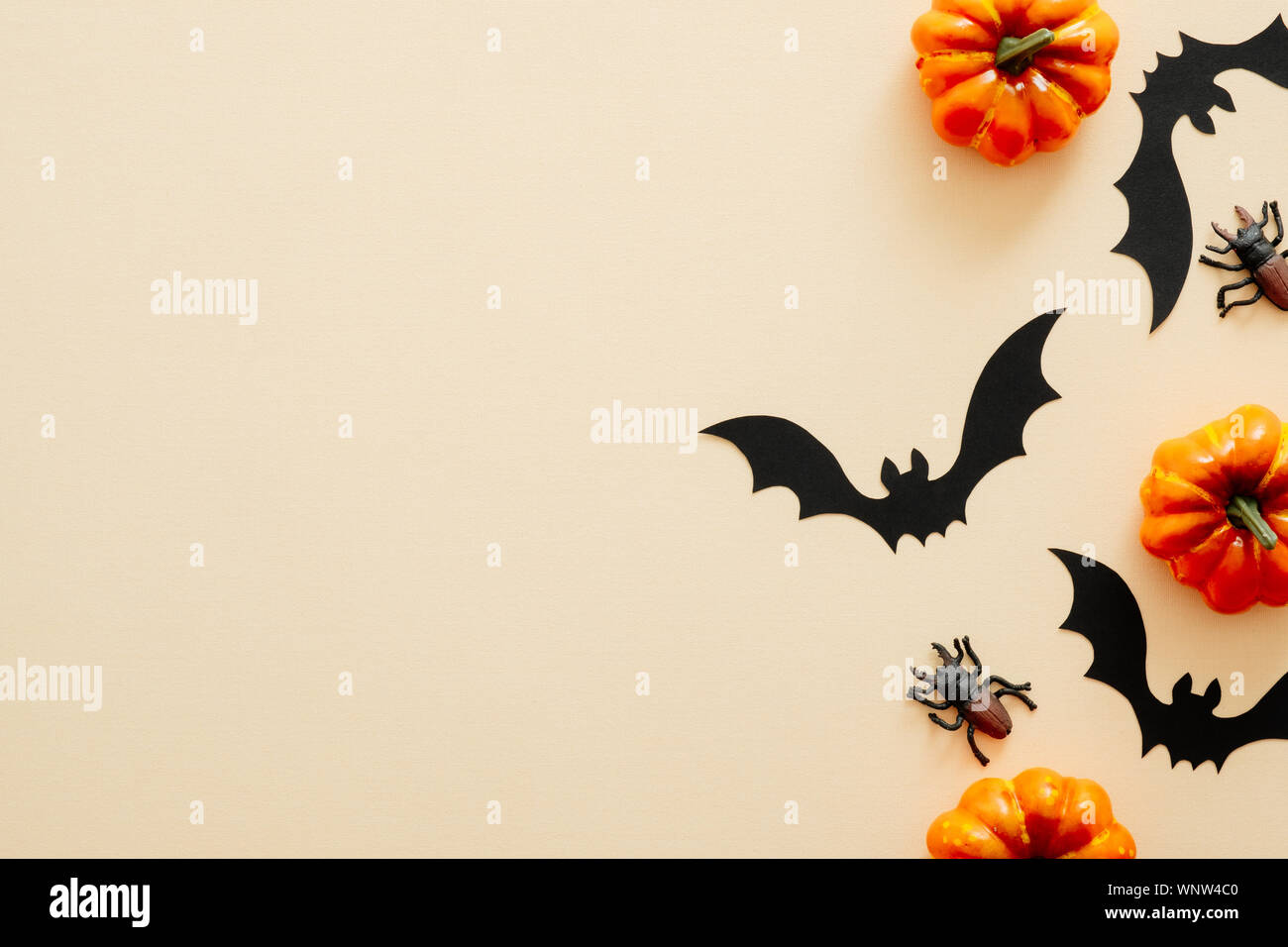 Modern Halloween background with pumpkins, spiders, paper bats with copy space for text. isolated on pastel beige background. Flat lay, top view, over Stock Photo
