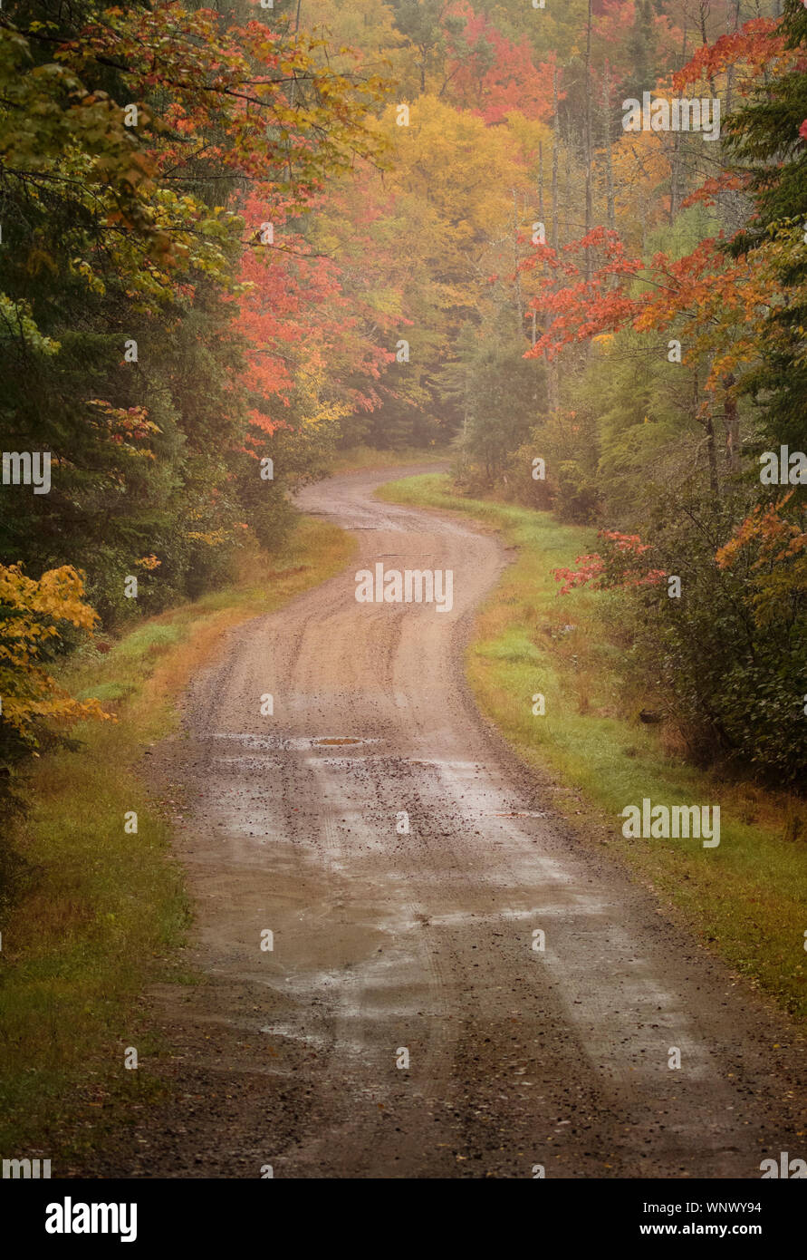 Country roads drive past endless colorful fall leaves during autumn time in New England. Colorful changing leaves frame the dirt roads; leaf peeping Stock Photo