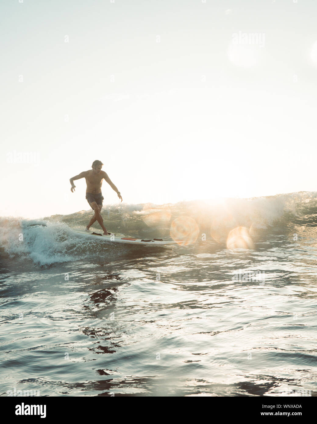 Surfing in Ocean Beach, San Diego Stock Photo Alamy