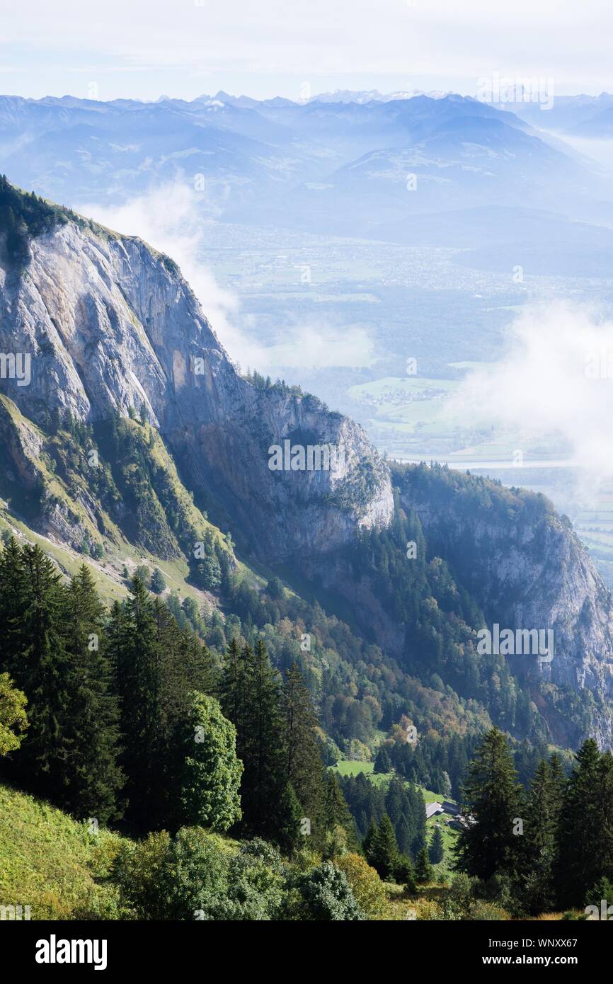 Vertical shot of a mountain covered in trees with a foggy background ...