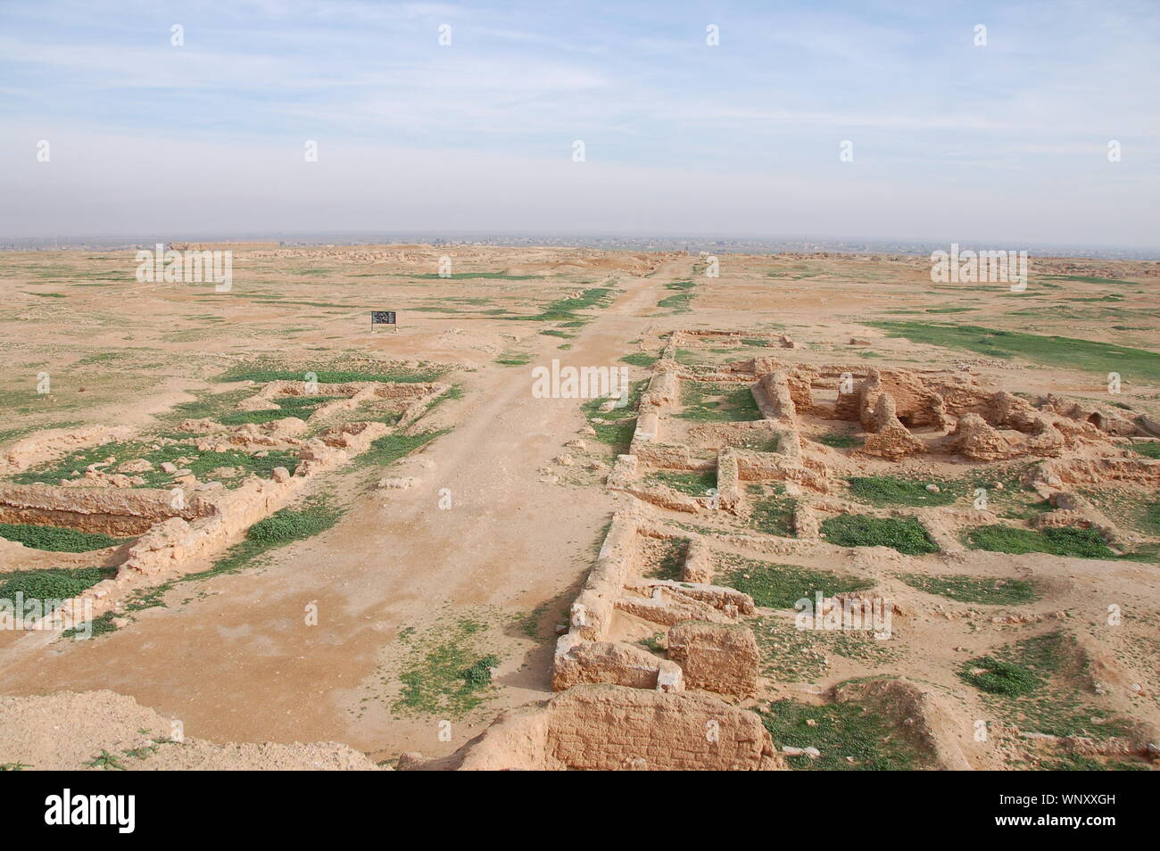 Archaeological site of Dura Europos Stock Photo Alamy