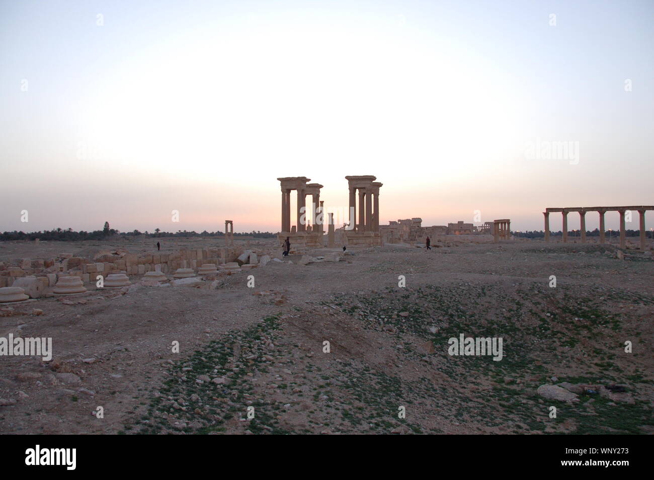 Ruins of Palmyra (Tadmor Stock Photo - Alamy