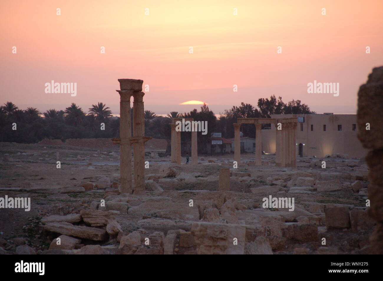 Tadmor syria hi-res stock photography and images - Alamy