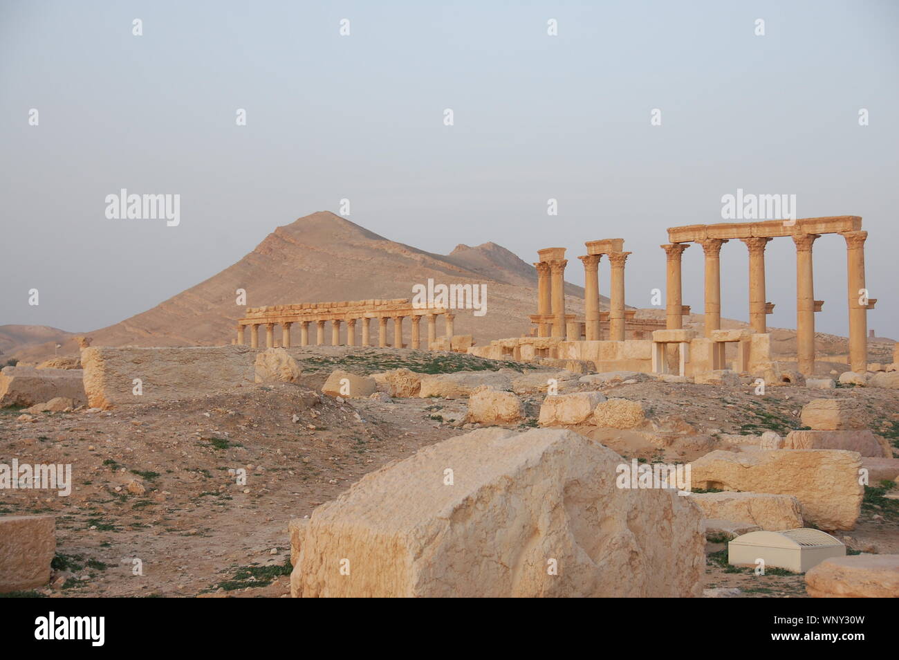 Ruins of Palmyra (Tadmor Stock Photo - Alamy