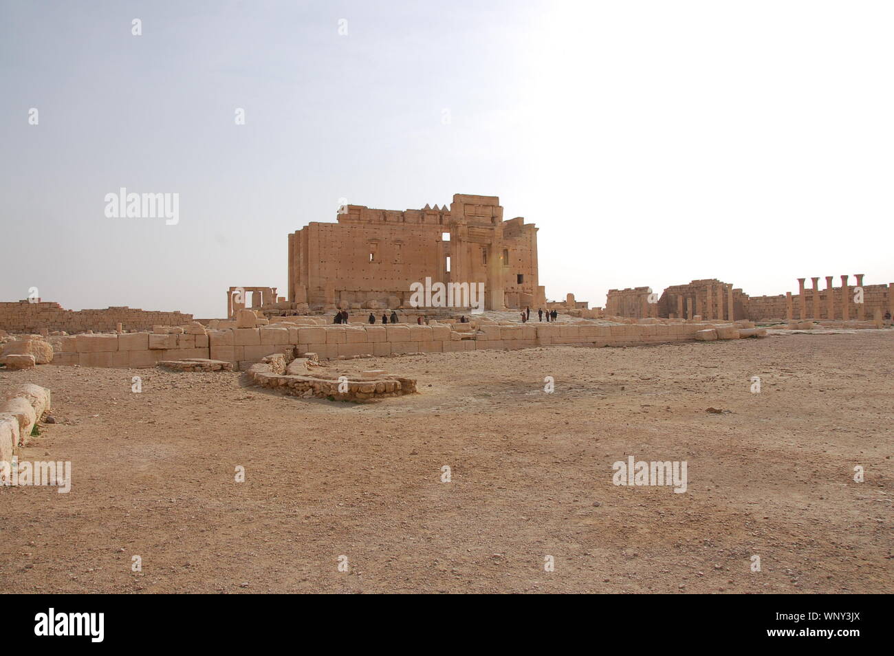 Archaeological site of Palmyra (Tadmor Stock Photo - Alamy