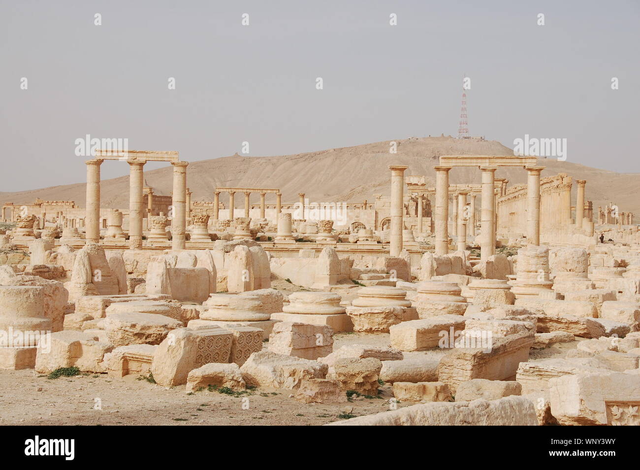 Archaeological site of Palmyra (Tadmor Stock Photo - Alamy