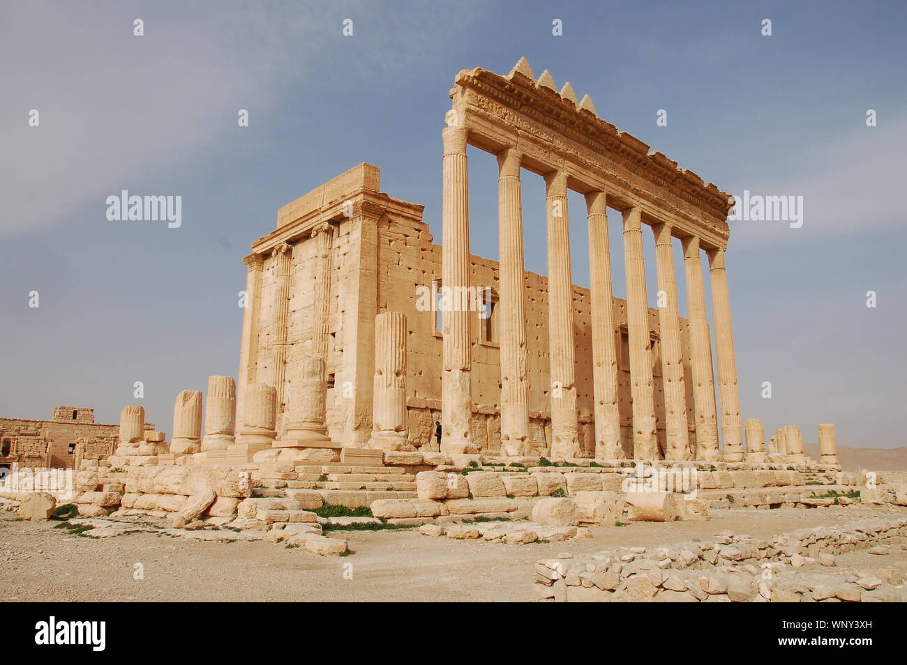 Archaeological site of Palmyra (Tadmor Stock Photo - Alamy