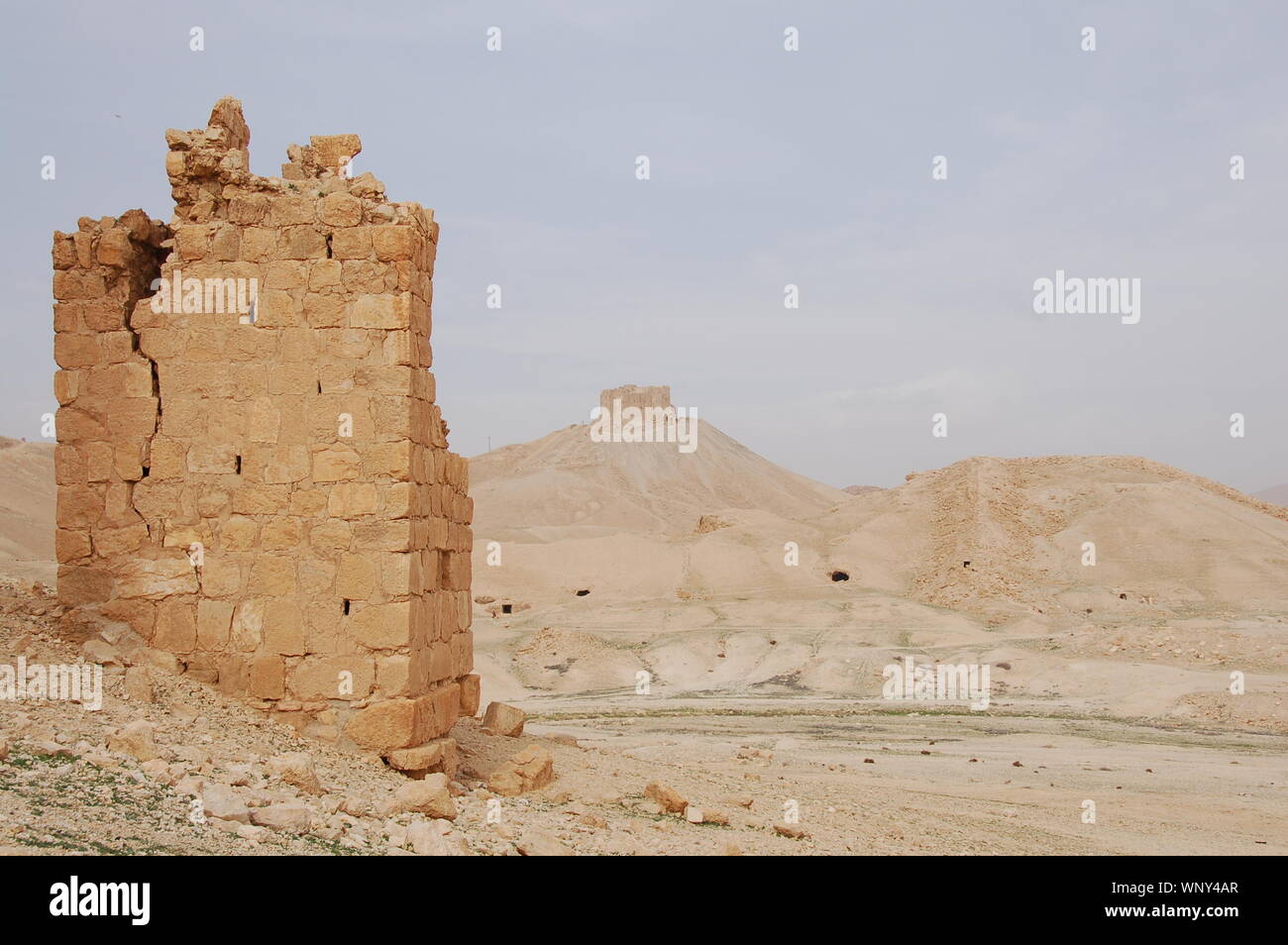 Archaeological site of Palmyra (Tadmor Stock Photo - Alamy