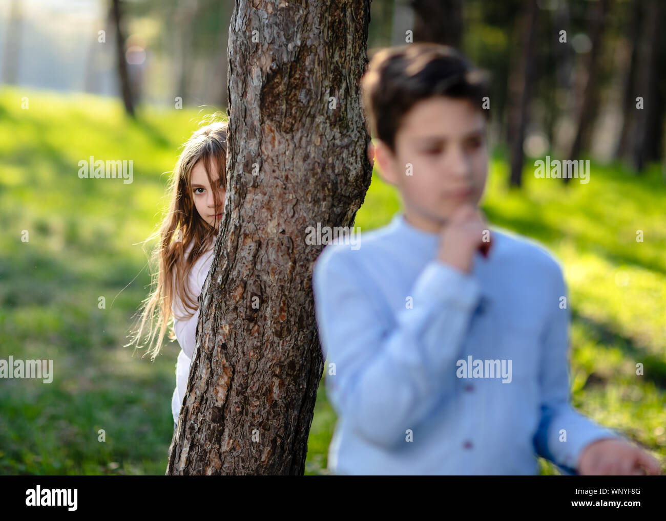 Boy and girl playing hide and seek in the park. Girl watching on boyfriend. Girl hiding behind the tree and lurk on boy. Stock Photo