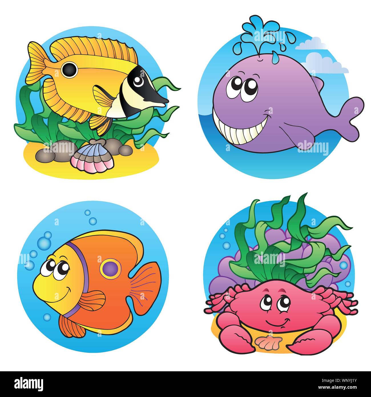 Various water animals and fishes 2 Stock Vector Image & Art - Alamy
