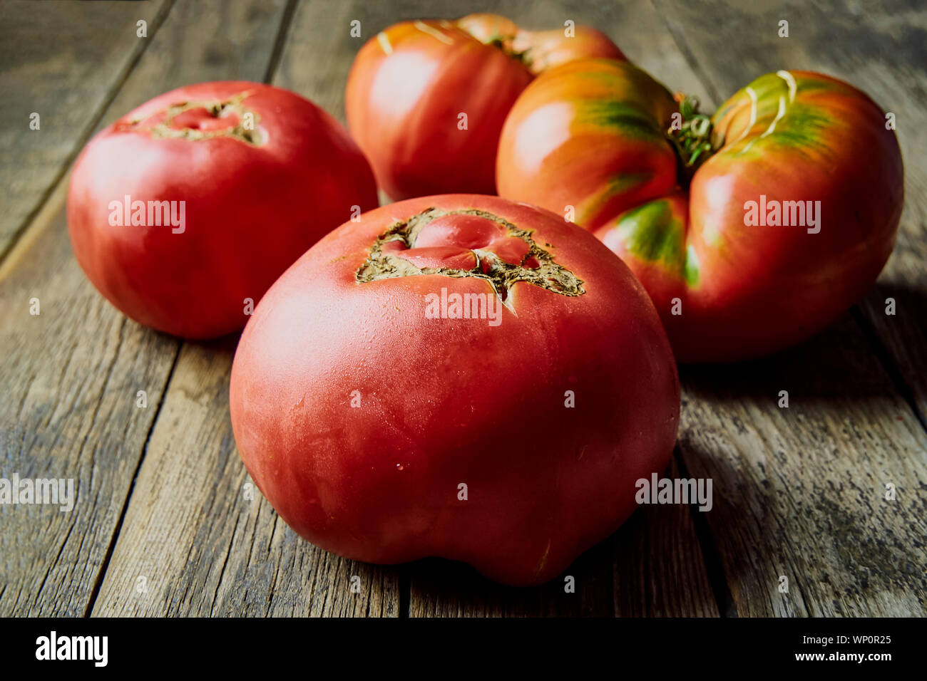 Colorful, fresh, large homegrown tomatoes on an old wooden table. Harvesting . Stock Photo