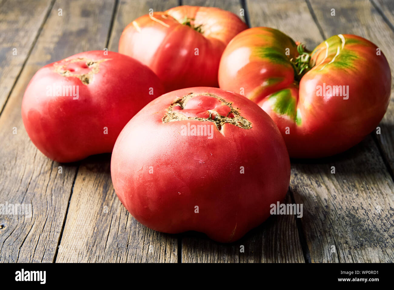 Colorful, fresh, large homegrown tomatoes on an old wooden table. Harvesting . Stock Photo