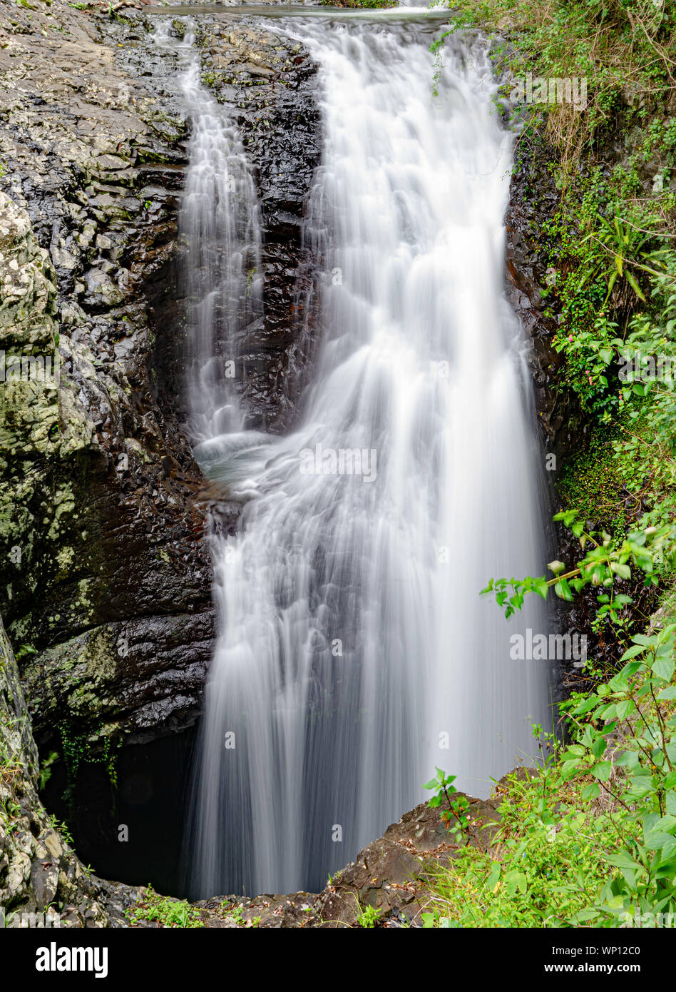 The Natural Bridge waterfall at Springbrook National Park in Queensland Australia Stock Photo