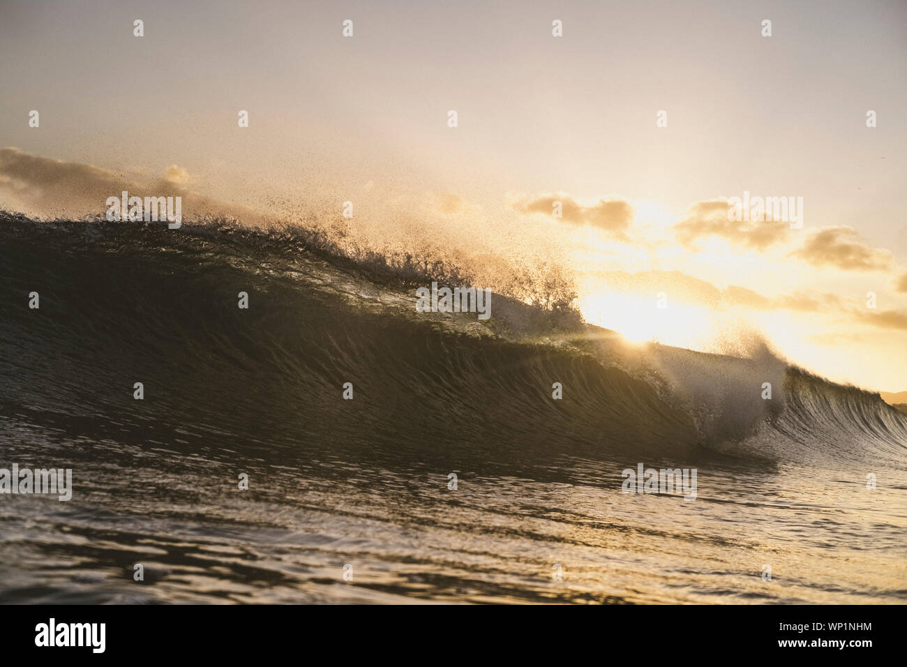 Backlit scene of a wave breaking at sunset Stock Photo