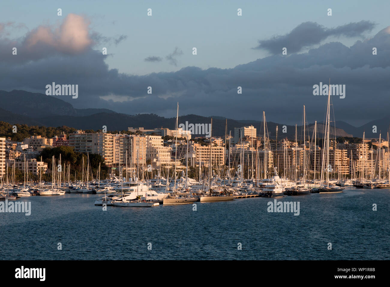 Sailing into the harbour of Palma, Palma de Mallorca in the early morning soft light Stock Photo