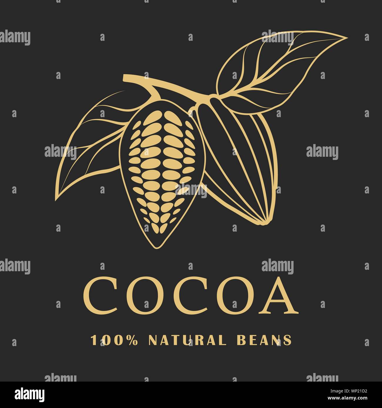 Cocoa beans with leaves on dark background. Cacao logo. Vector illustration. Stock Vector